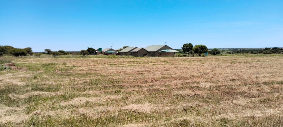 32 Bedroom Property for Sale in Doornbult Limpopo