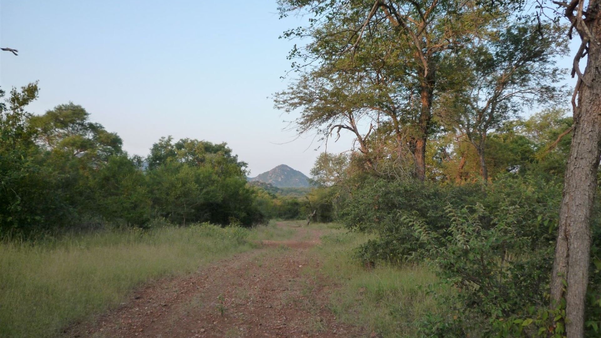 Commercial Property for Sale in Hoedspruit Rural Limpopo