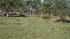 Commercial Property for Sale in Hoedspruit Rural Limpopo