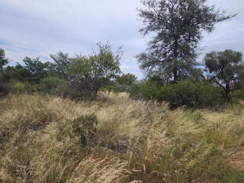 Commercial Property for Sale in Baltimore Limpopo