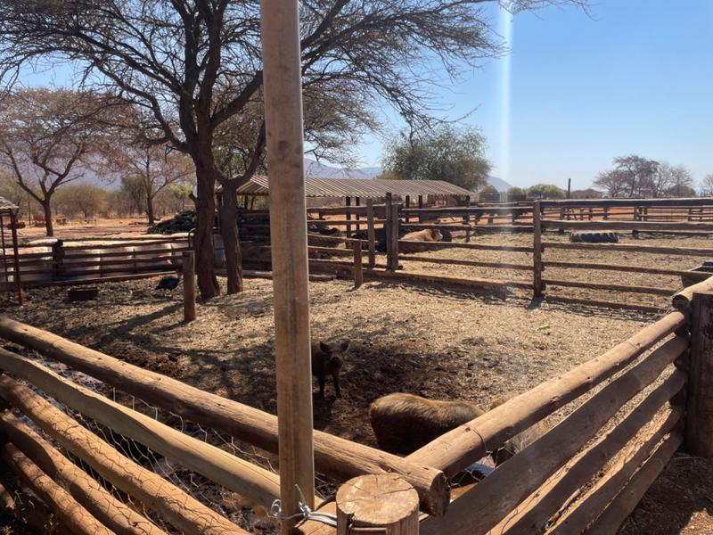 6 Bedroom Property for Sale in Mokopane Rural Limpopo