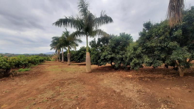 2 Bedroom Property for Sale in Tzaneen Rural Limpopo