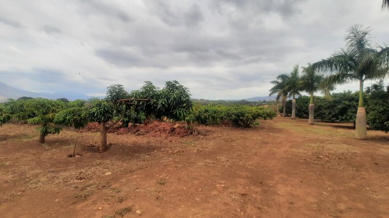 2 Bedroom Property for Sale in Tzaneen Rural Limpopo