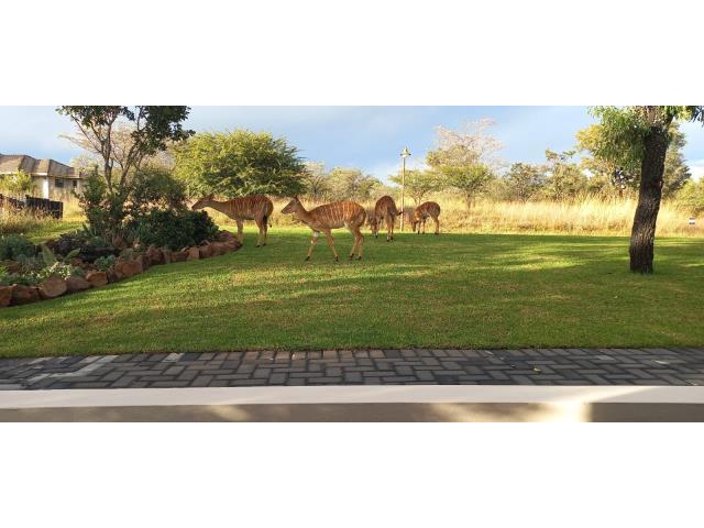 0 Bedroom Property for Sale in Koro Creek Golf Estate Limpopo