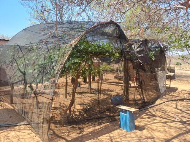 0 Bedroom Property for Sale in Mopane Limpopo