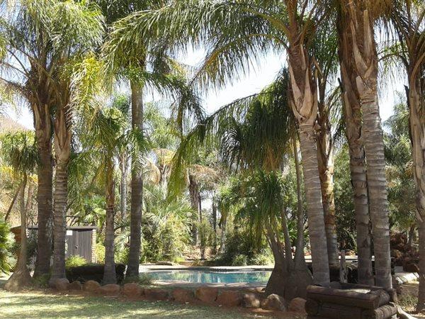 6 Bedroom Property for Sale in Groblersdal Limpopo