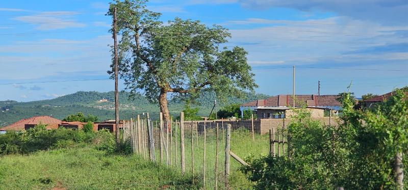 0 Bedroom Property for Sale in Tswinga Limpopo