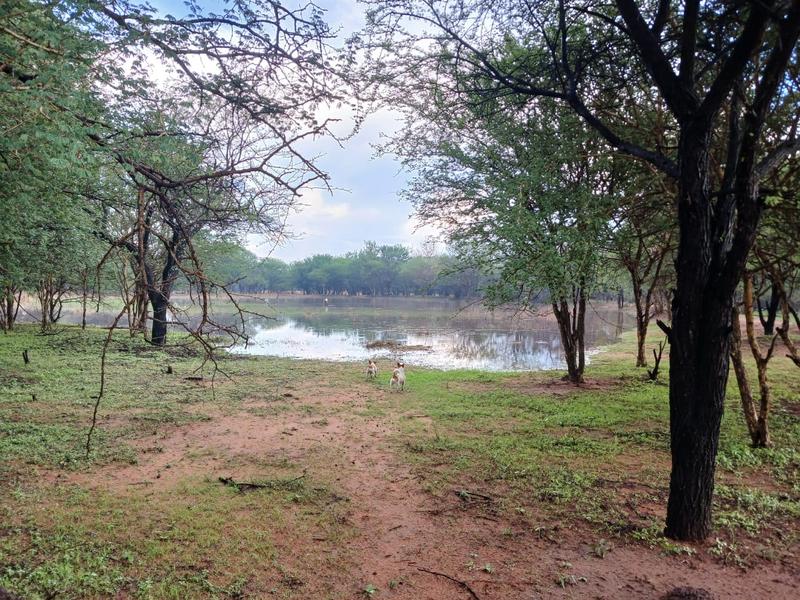 3 Bedroom Property for Sale in Thabazimbi Limpopo