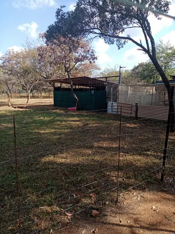 4 Bedroom Property for Sale in Modimolle Limpopo