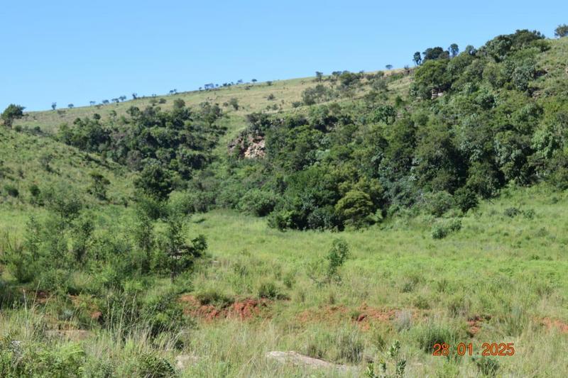 0 Bedroom Property for Sale in Polokwane Rural Limpopo