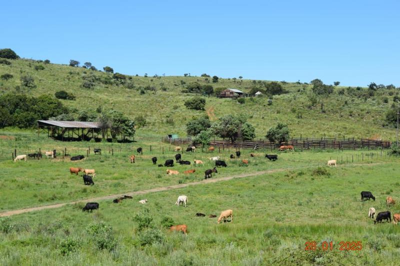 0 Bedroom Property for Sale in Polokwane Rural Limpopo