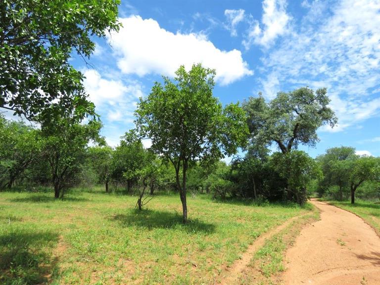 0 Bedroom Property for Sale in Marken Limpopo