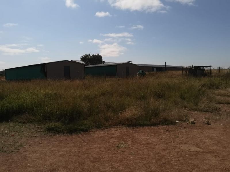 3 Bedroom Property for Sale in Polokwane Central Limpopo