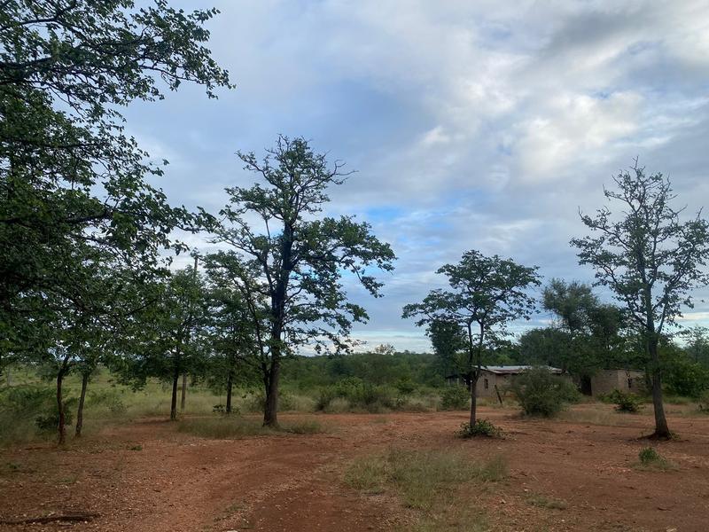 0 Bedroom Property for Sale in Tzaneen Rural Limpopo