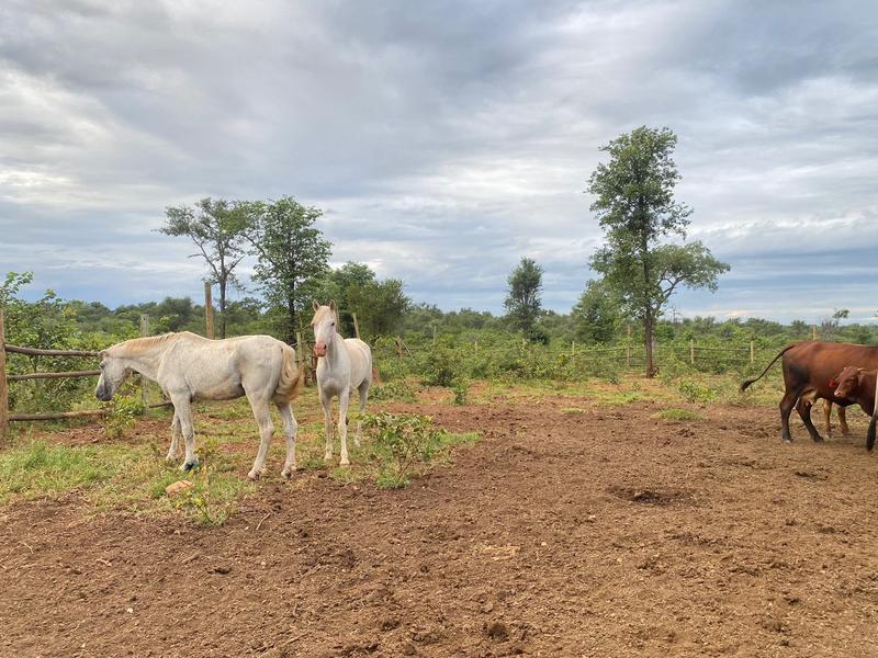 0 Bedroom Property for Sale in Tzaneen Rural Limpopo