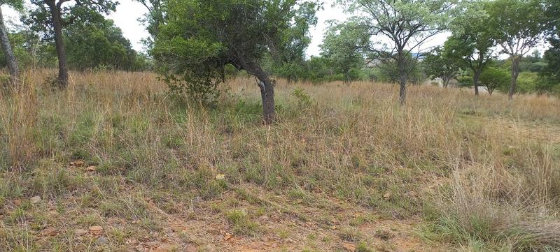 0 Bedroom Property for Sale in Modimolle Limpopo