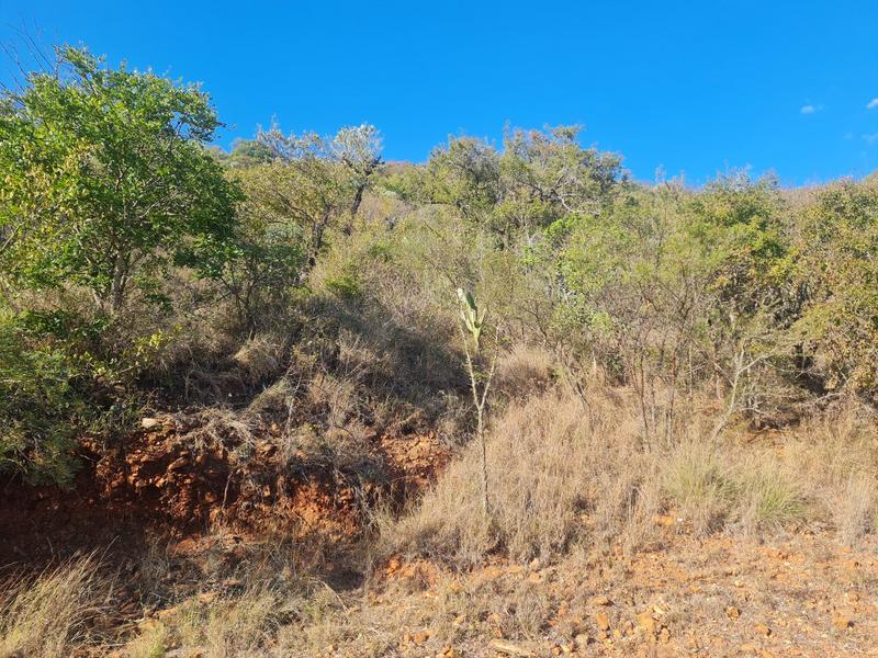 0 Bedroom Property for Sale in Ohrigstad Limpopo