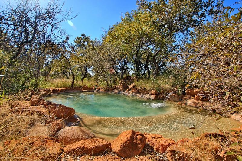 29 Bedroom Property for Sale in Bela Bela Limpopo