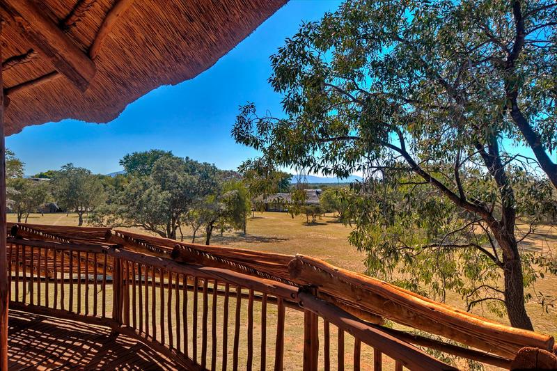 29 Bedroom Property for Sale in Bela Bela Limpopo