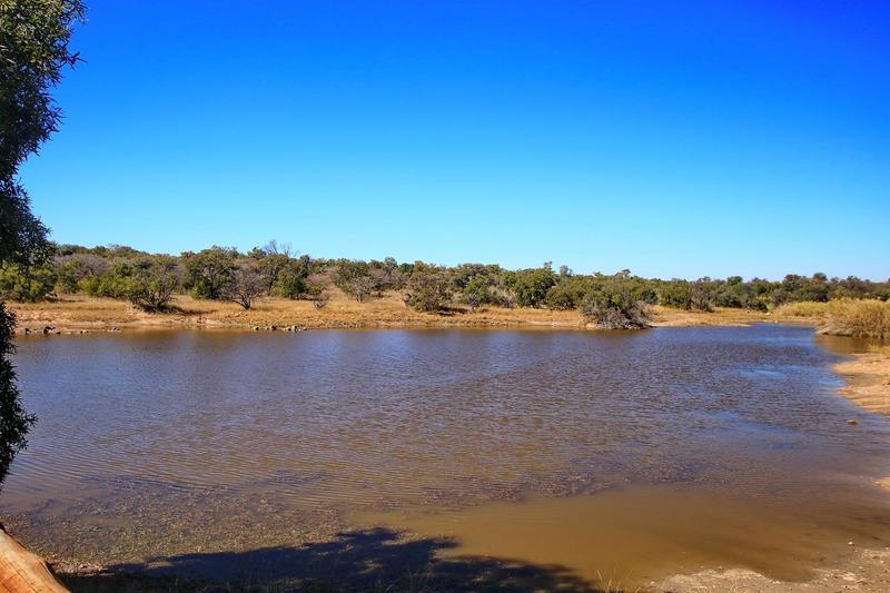 29 Bedroom Property for Sale in Bela Bela Limpopo