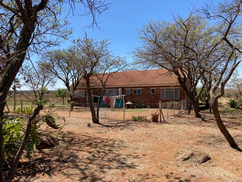 47 Bedroom Property for Sale in Doornbult Limpopo