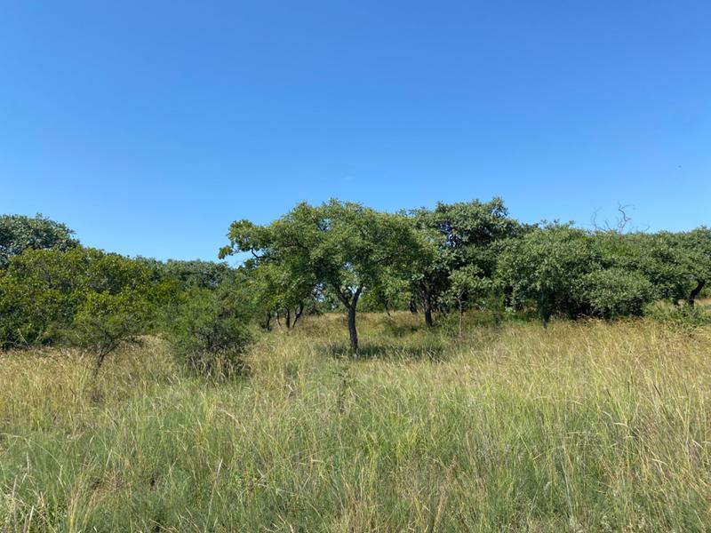 0 Bedroom Property for Sale in Tweefontein A H Limpopo