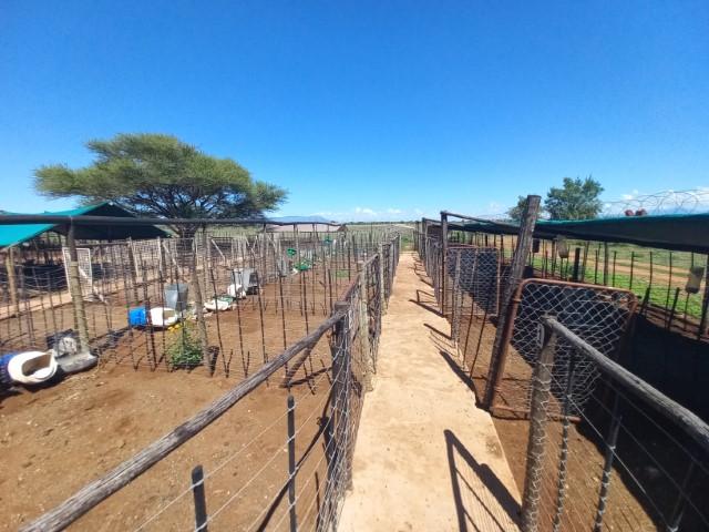 0 Bedroom Property for Sale in Waterpoort Limpopo