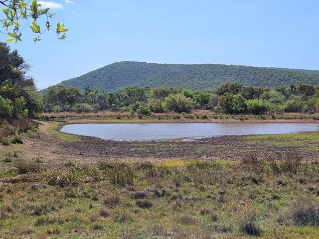 4 Bedroom Property for Sale in Rooiberg Tin Mine Limpopo