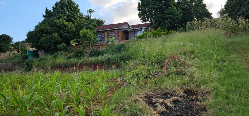0 Bedroom Property for Sale in Tshifulanani Limpopo