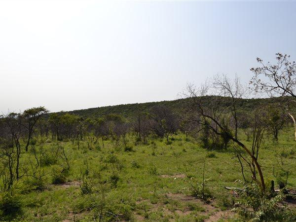 0 Bedroom Property for Sale in Mookgopong Limpopo