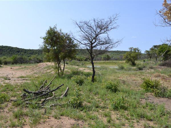 0 Bedroom Property for Sale in Mookgopong Limpopo