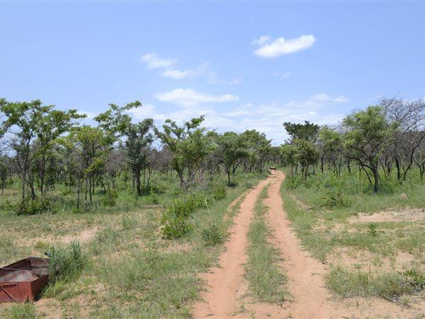 0 Bedroom Property for Sale in Mookgopong Limpopo