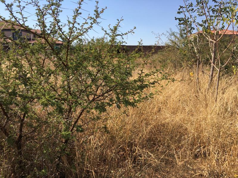 0 Bedroom Property for Sale in Mokopane Limpopo