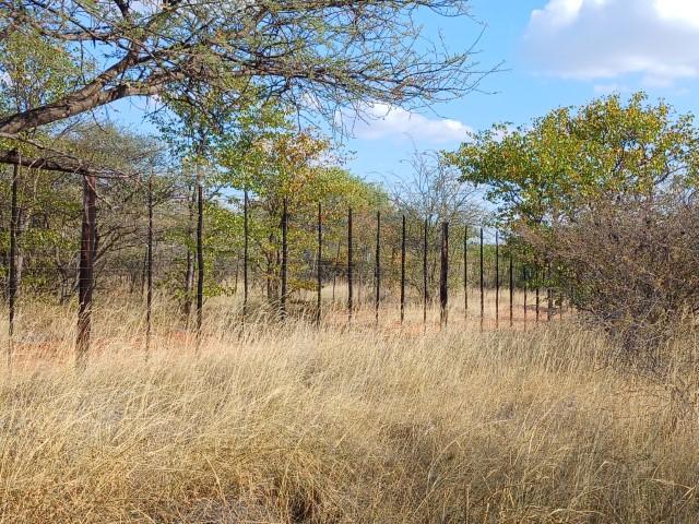 0 Bedroom Property for Sale in Mopane Limpopo