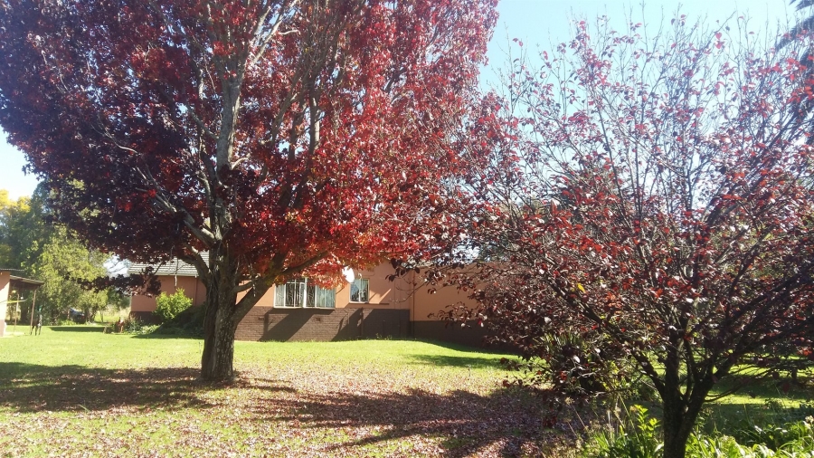 Commercial Property for Sale in Lydenburg Mpumalanga