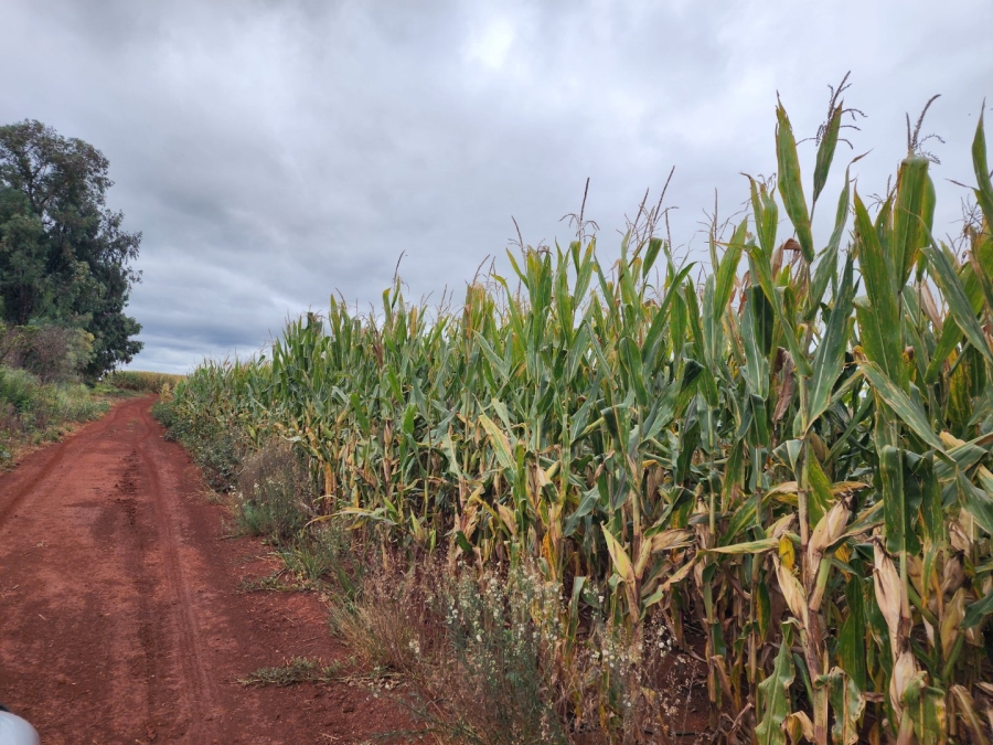 Commercial Property for Sale in Lydenburg Mpumalanga