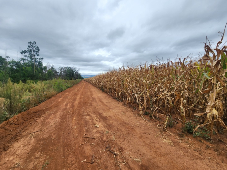 Commercial Property for Sale in Lydenburg Mpumalanga