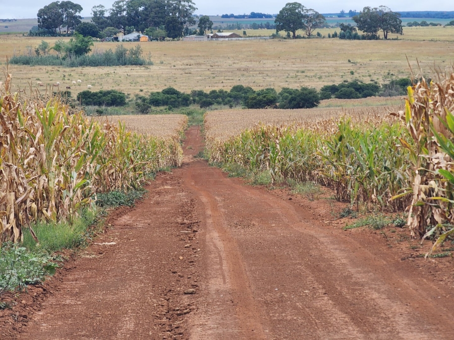 Commercial Property for Sale in Lydenburg Mpumalanga