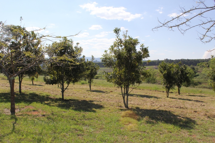 Commercial Property for Sale in White River AH Mpumalanga