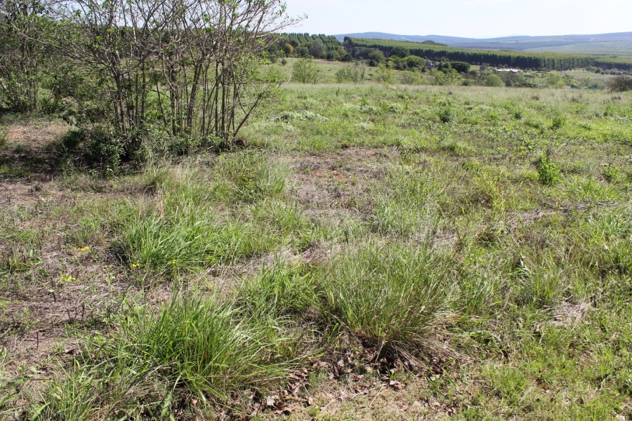 Commercial Property for Sale in White River AH Mpumalanga