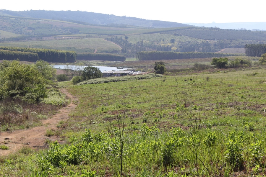 Commercial Property for Sale in White River AH Mpumalanga