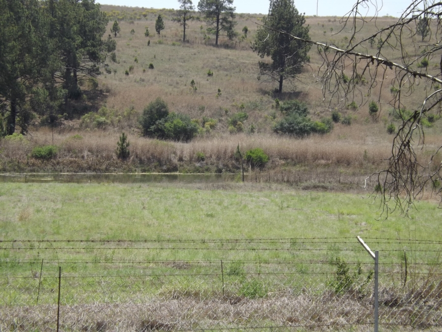 Commercial Property for Sale in Lydenburg Mpumalanga