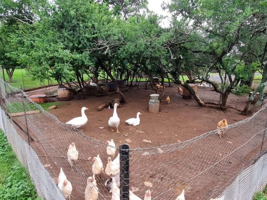 Commercial Property for Sale in Lydenburg Rural Mpumalanga