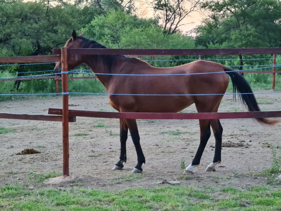 Commercial Property for Sale in Lydenburg Rural Mpumalanga