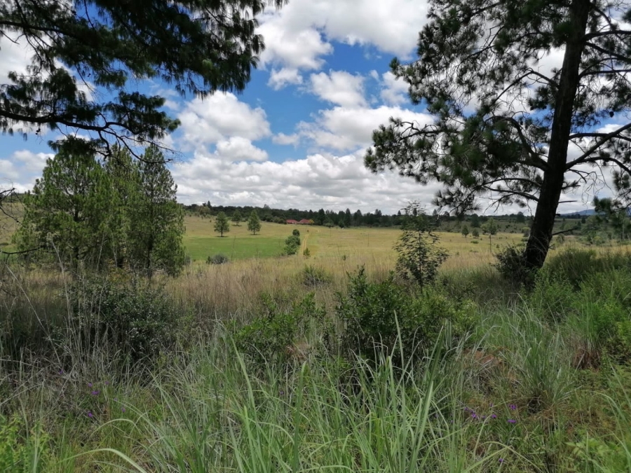 Commercial Property for Sale in Lydenburg Rural Mpumalanga