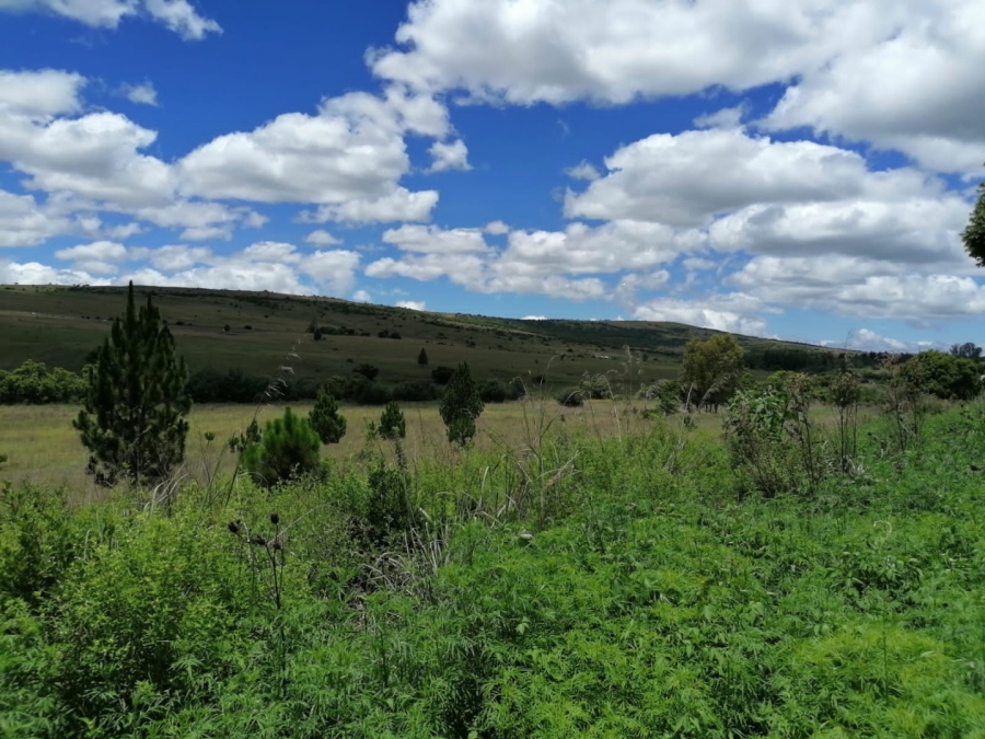 Commercial Property for Sale in Lydenburg Rural Mpumalanga