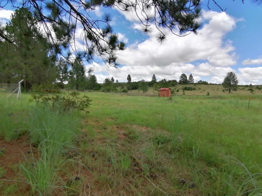 Commercial Property for Sale in Lydenburg Rural Mpumalanga