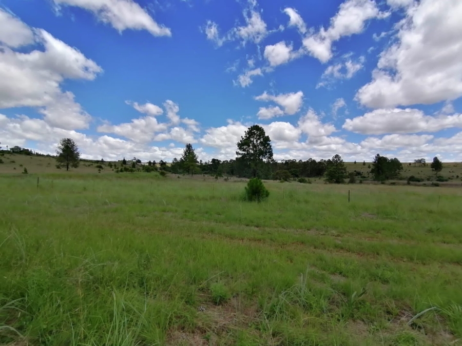 Commercial Property for Sale in Lydenburg Rural Mpumalanga