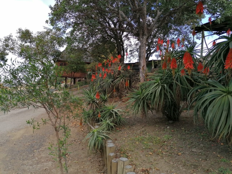 Commercial Property for Sale in Lydenburg Rural Mpumalanga