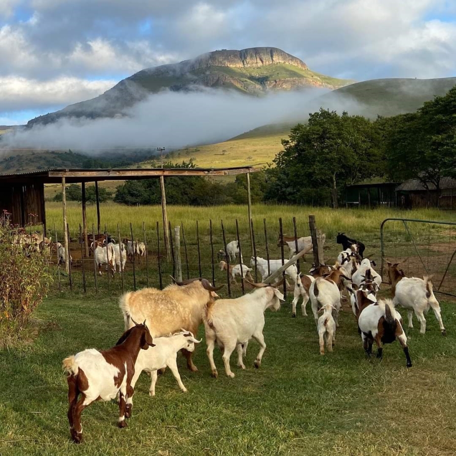Commercial Property for Sale in Lydenburg Rural Mpumalanga